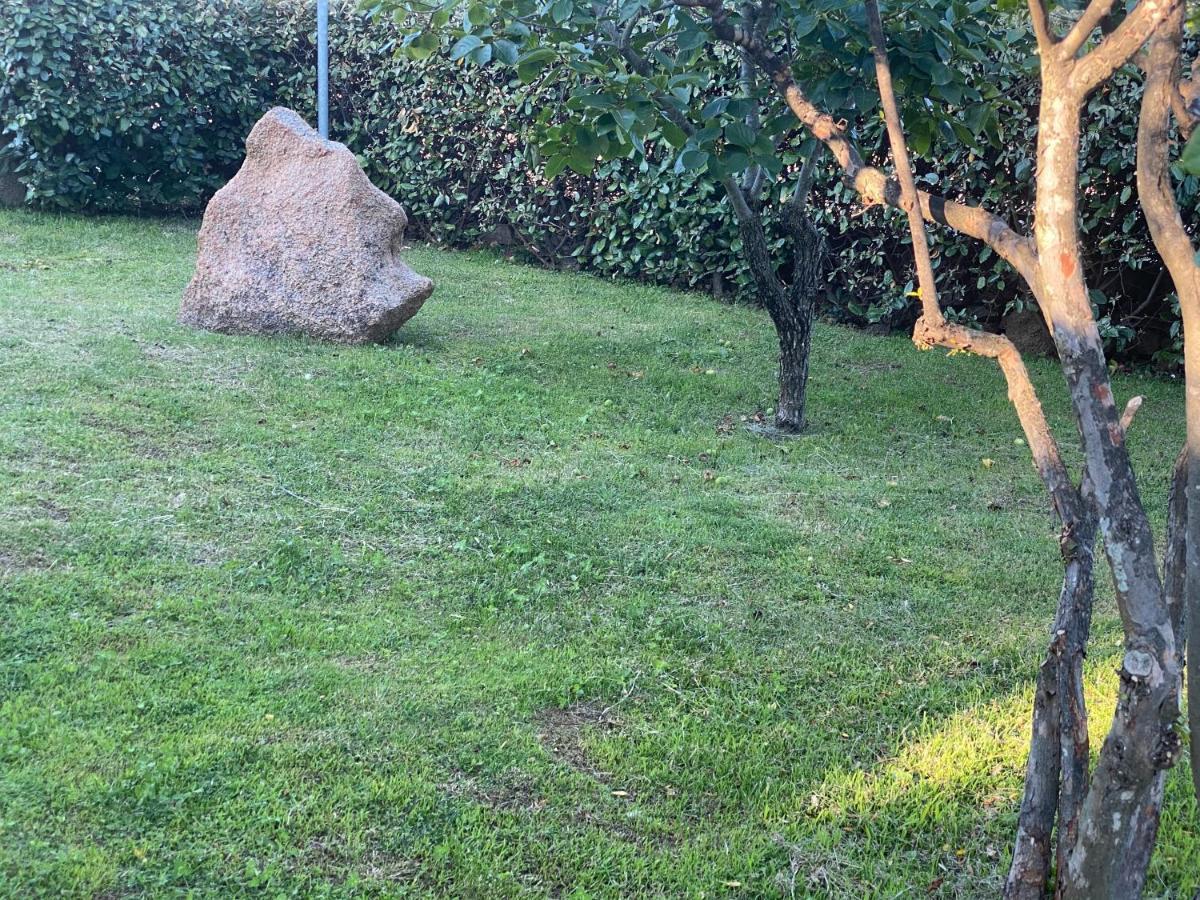 קניגיונה Bed And Breakfast Li Paduli Alvi מראה חיצוני תמונה