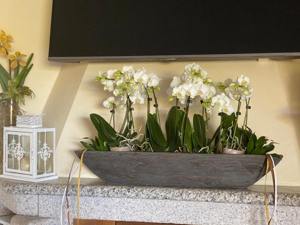 קניגיונה Bed And Breakfast Li Paduli Alvi מראה חיצוני תמונה