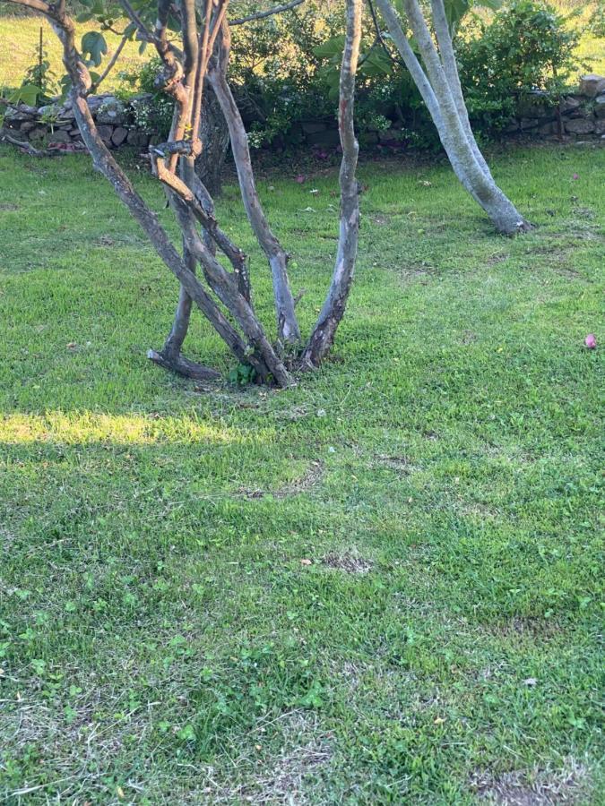 קניגיונה Bed And Breakfast Li Paduli Alvi מראה חיצוני תמונה