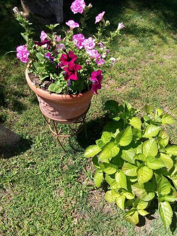 קניגיונה Bed And Breakfast Li Paduli Alvi מראה חיצוני תמונה