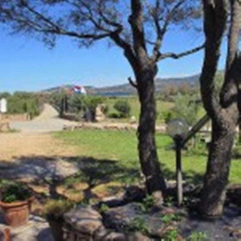 קניגיונה Bed And Breakfast Li Paduli Alvi מראה חיצוני תמונה